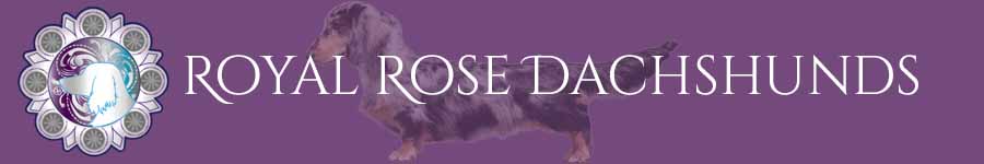 Royal Rose Banner